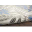 Floral Area Rug-275798468