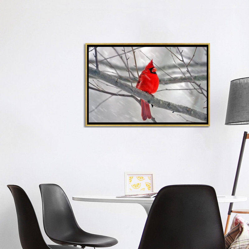 « cardinal oiseau »-impression, Toile encadrée d'or, H 32 po x l 48 po x P 1,5 po