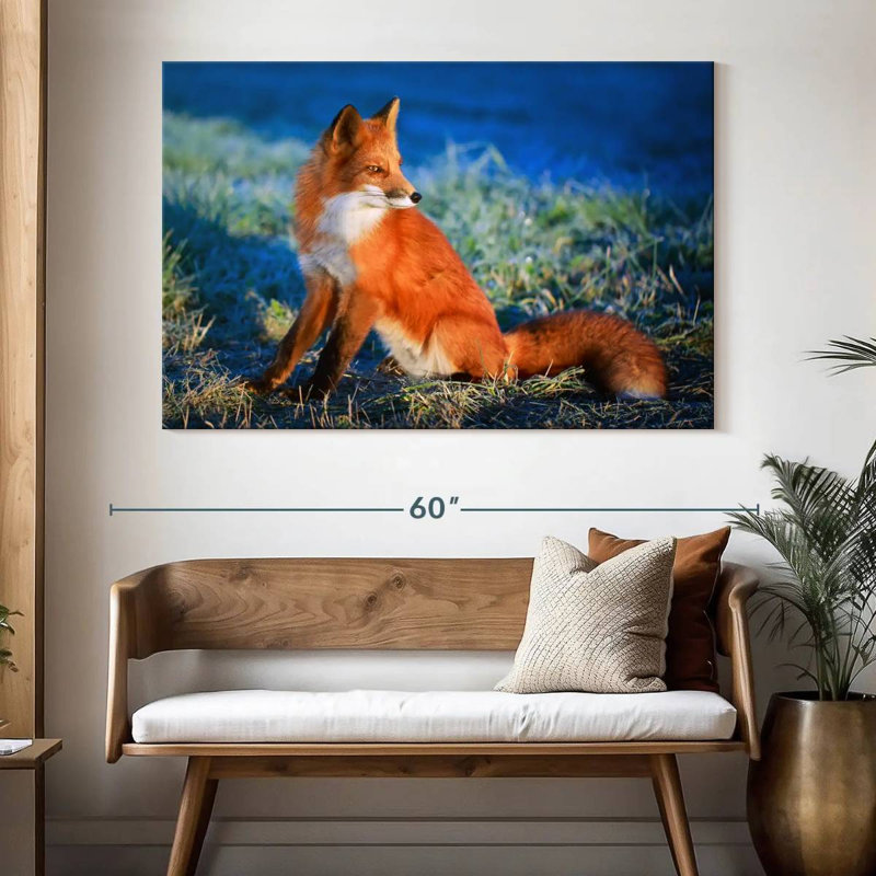 Renard roux Brampt, H 34 po x l 51 po
