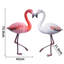 Flamant rose