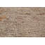 Tapis teint en laine Oushak Earth