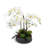 FLORAL 24IN Orchid with Succulents