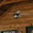52" Coral Bay 5 - Blade Outdoor Standard Ceiling Fan with Remote Control and Light Kit Included-71202622