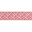 Treillis Passementerie Sanchi Tape 100% Polyester Fabric-1312473299