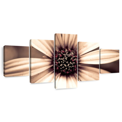 Fleur de sépia détaillée
