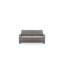 Tawnya Loveseat Sleeper-2023554346