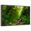 Forest Stream