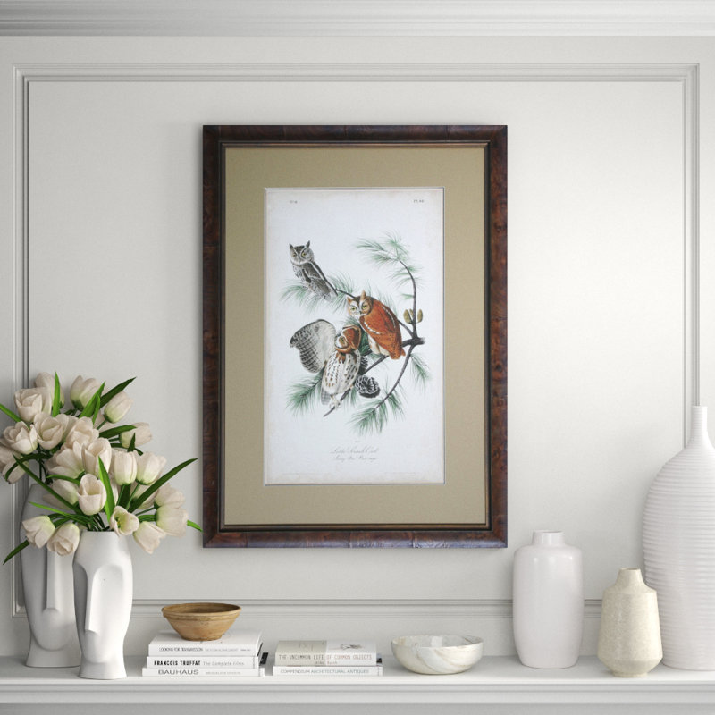Audubon Screech Owl Print by Audubon