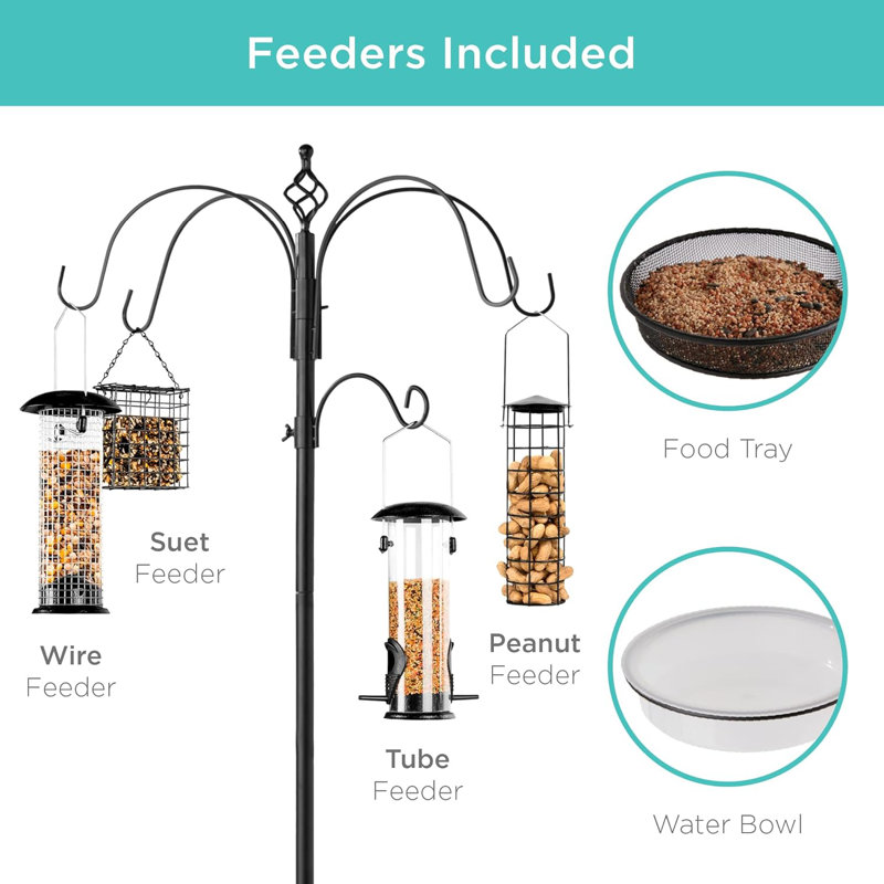 Black 6-Hook Metal and Plastic Bird Feeding Station with Suet Cage