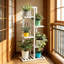Solid Wood 5 Tier Plant Stand