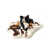 Brown Cowhide selected
