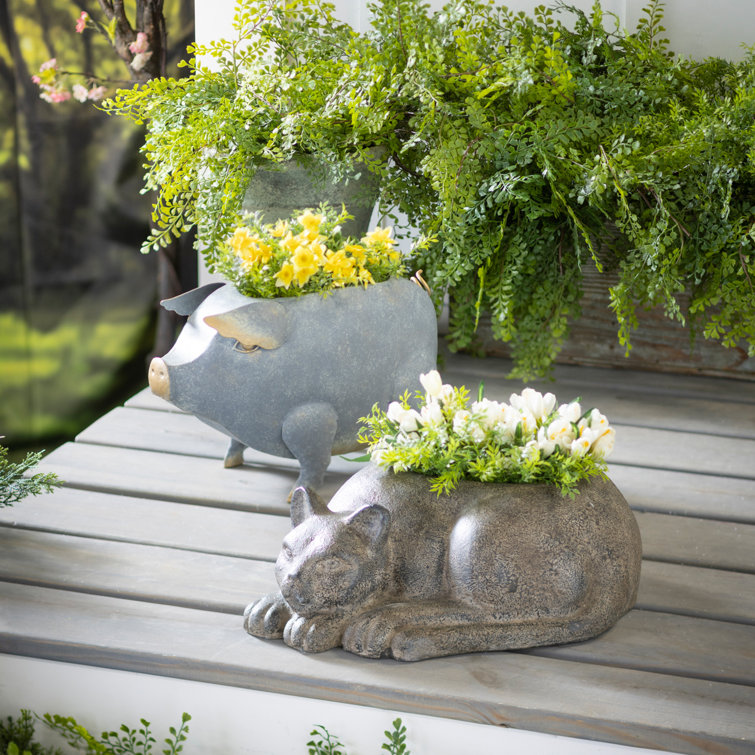 Statue De Grenouille Flottante En Résine, Statue De Jardin Grenouille