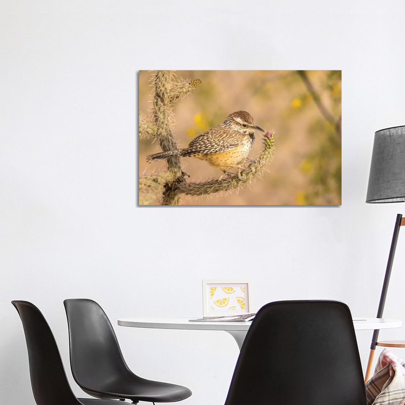 USA, Arizona, Desert Botanic Garden. Cactus wren perched on cactus. 1 Piece Wrapped Canvas Wall Art