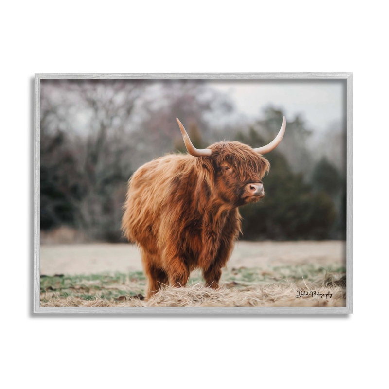 Seren Highland Clever, L 14 po x H 11 po, Estampe numérique Farmhouse