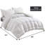 Wayfair Sleep All Season Down Alternative Comforter-1690112317
