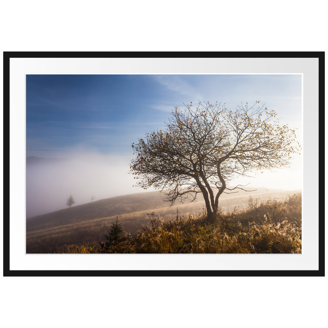 Gerahmtes Poster Baum im hohen Gras