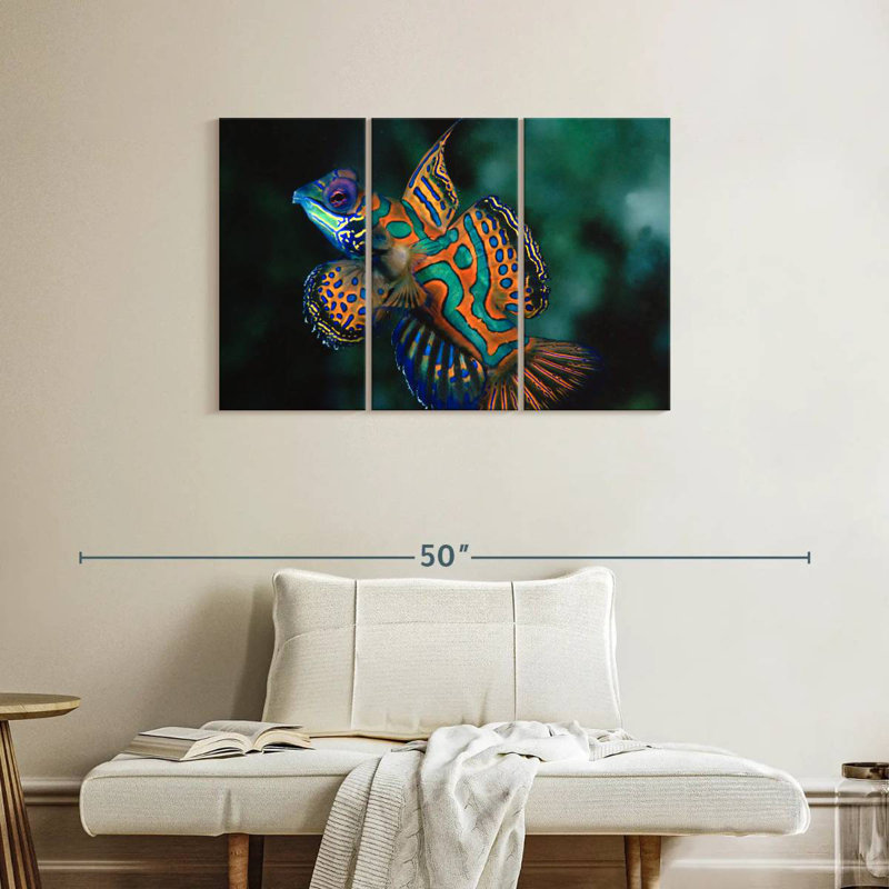 Brampt Mandarin Dragonet, 24" H x 38" W