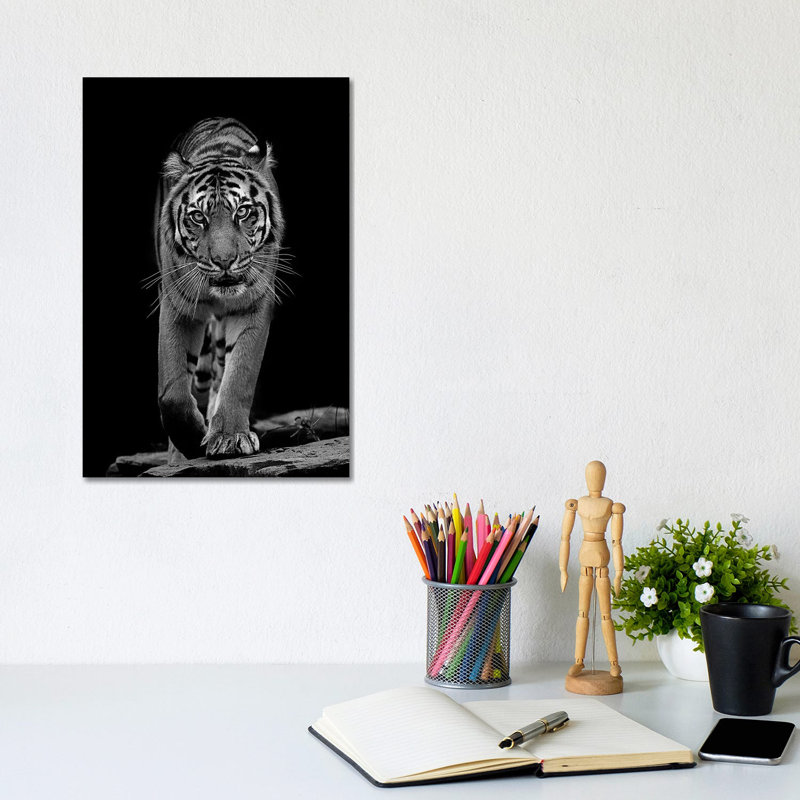 Whiskers In Black And White by David Whelan - Wrapped Canvas Gallery-Wrapped Canvas Giclée, 20.32 cm H x 30.48 cm W