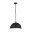 Whare 1 - Light Pendant-100140220