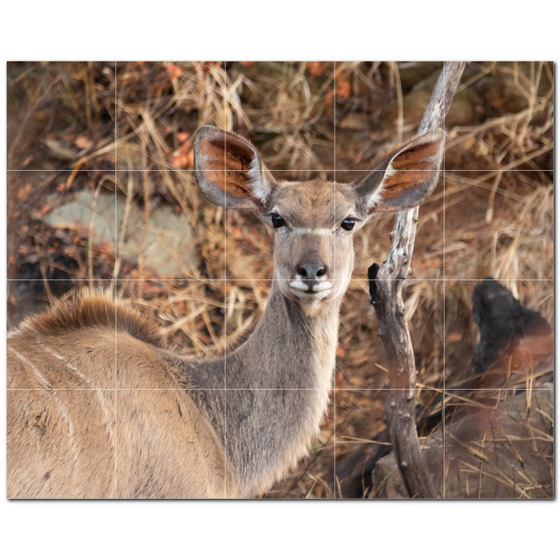 Murale décorative cerf en céramique 6 po x 6 po Deer Photo