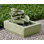 Hosta Cascade Fountain