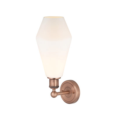 Amylea Steel Armed Sconce