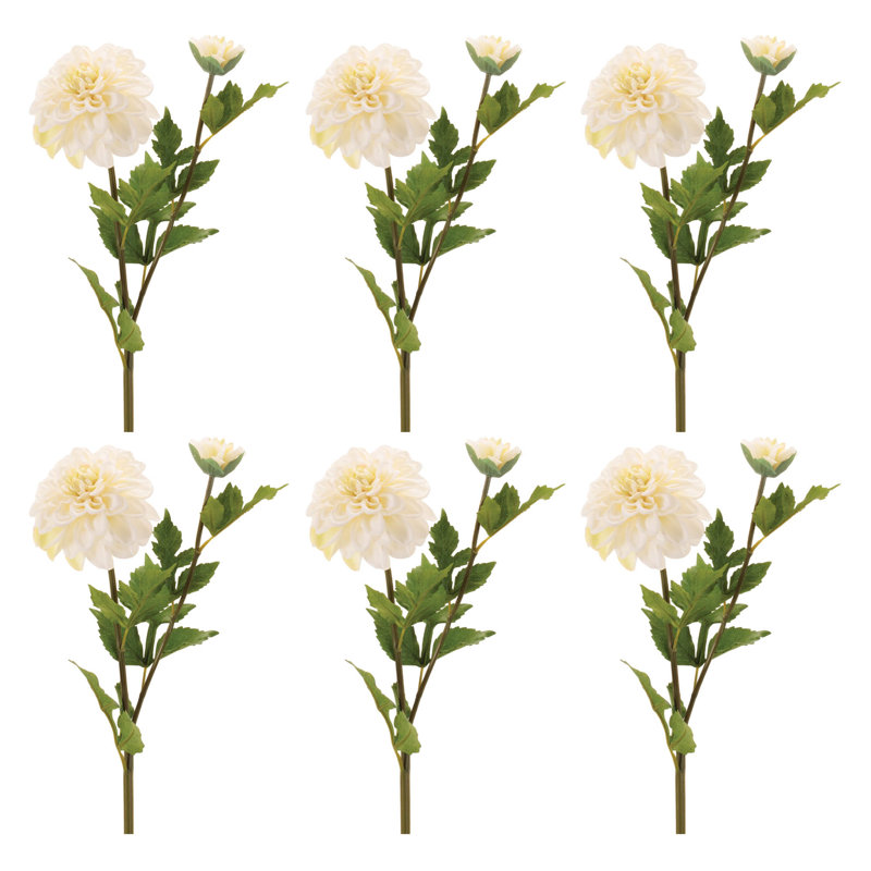 Tige de fleur de dahlia
