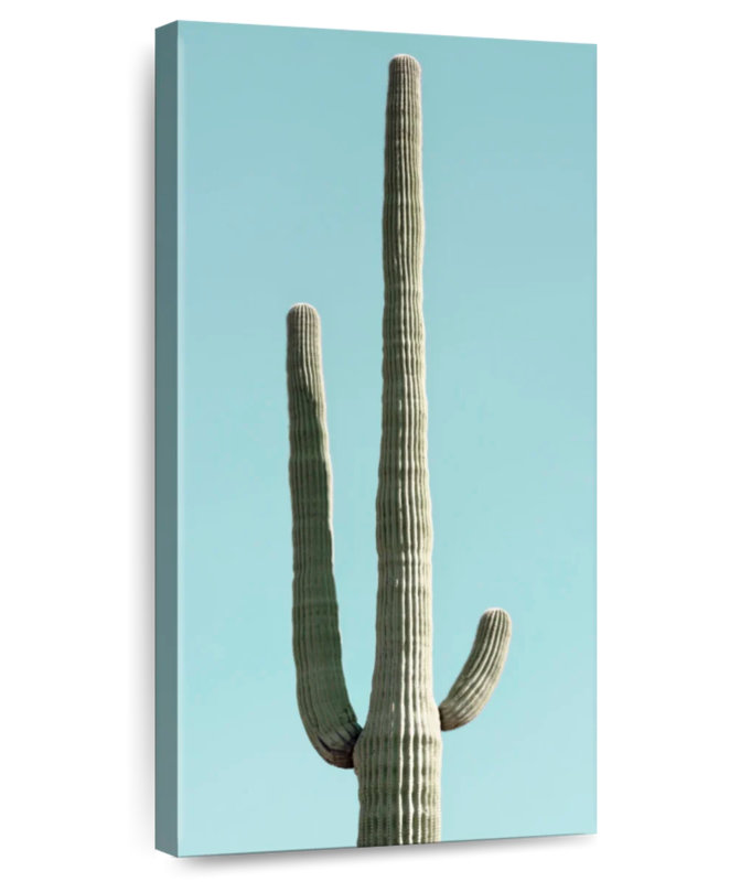 Green Desert Cacti
