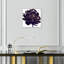 Pivoine noire - Impression sur toile-80844206-80844209