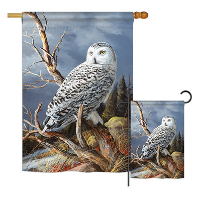 Hibou de jardin à 2 côtés en polyester 40 x 28 po superior ensemble de drapeau