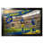 NFL Los Angeles Rams