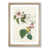 Oak Framed selected