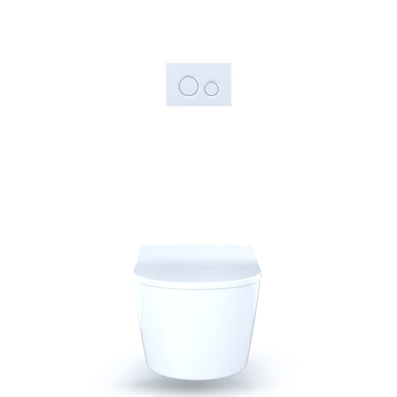 RP™ Dual-Flush D-Shape Front Bowl Wall Hung Toilet (Seat Included), White