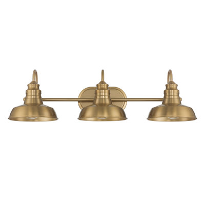 3-Light Industrial Chic Vanity Light Fixture