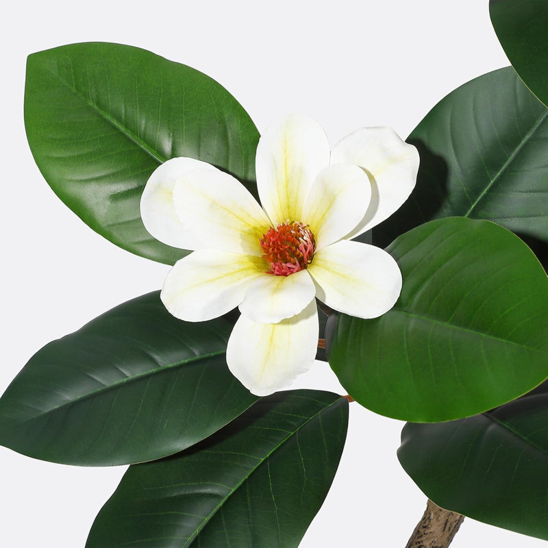 Hévéa artificiel avec fleurs de magnolia, H 72 po x l 7,87 po x P 7,87 po