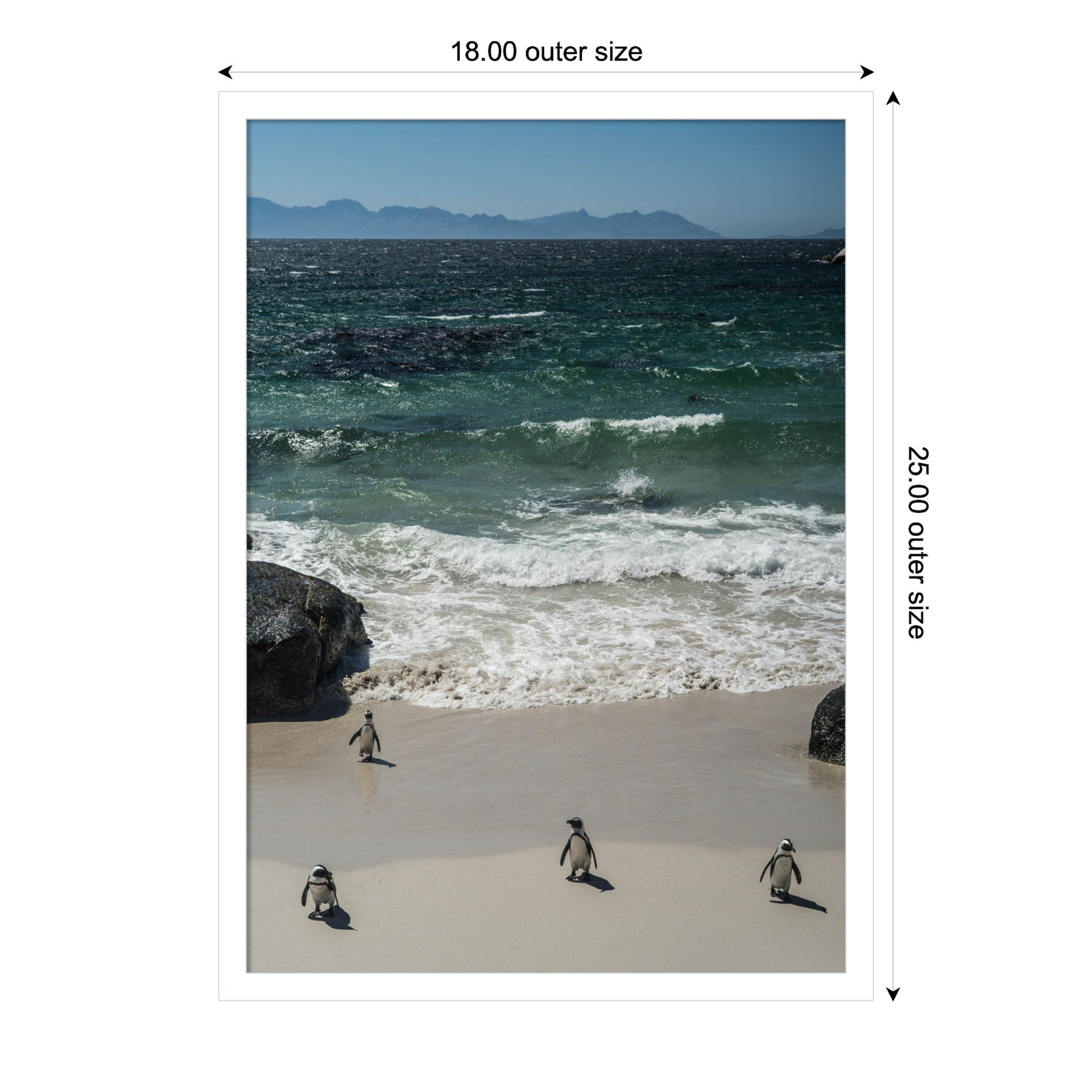Coming In to the Beach by Shot by Clint Wood Framed Wall Art Print, 25" H x 18" W, White