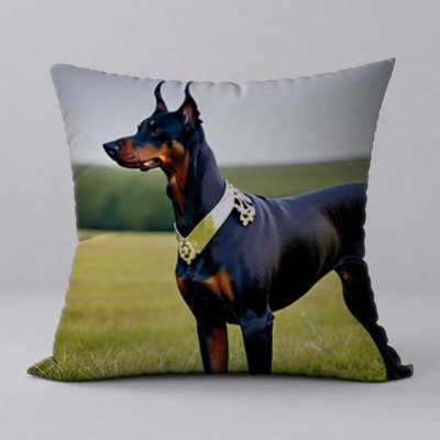 Reversible Throw Pillow