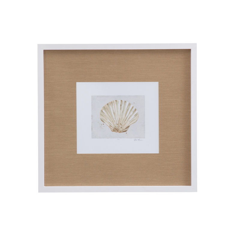 Neutral Shell Fresco IV Framed Print