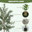 180cm Faux Olive Plant in Pot