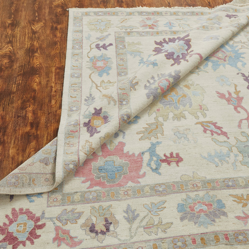 Colorburst Oushak Hand Knotted Area Rug in Ivory, Rectangle 3' x 5'