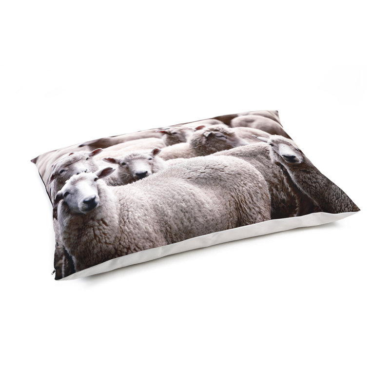 Maximo Canvas Pet Bed