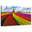 Ferme de tulipes pittoresque Alvord-108906561