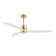 Gianick Ceiling Fan with LED Lights