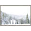 Winter White 2 Print by Thom Filicia