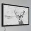 Parvez Taj - Single Picture Frame Print-19912747