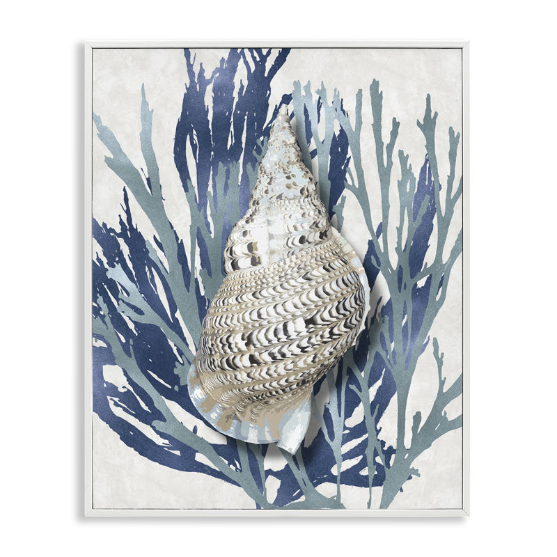«Shell Coral Blue Beach» par Caroline Kelly - reproduction d'art, Giclée encadrée blanc bord de mer, H 20 po x l 16 po