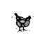 Poulet boucher, reproduction d'art sur toile tendue-55901762