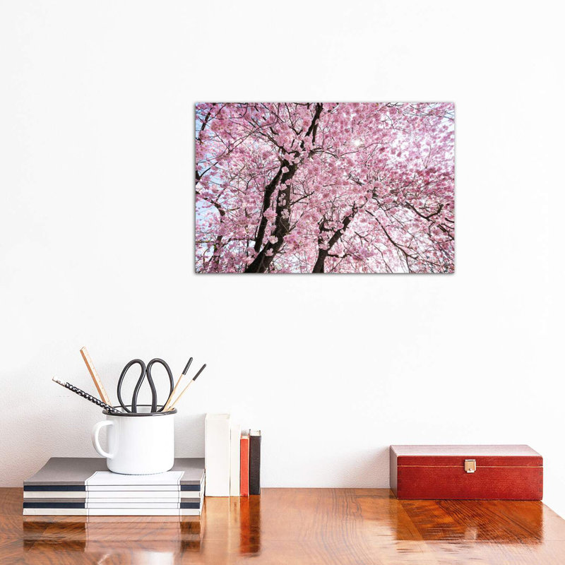 " Cherry Blossom " by Stefan Hefele, Wrapped Canvas, 12" H x 18" W x 1.5" D
