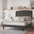Peyton Upholstered Tufted Wingback Platform Bed with Solid Deck (8" Leg)