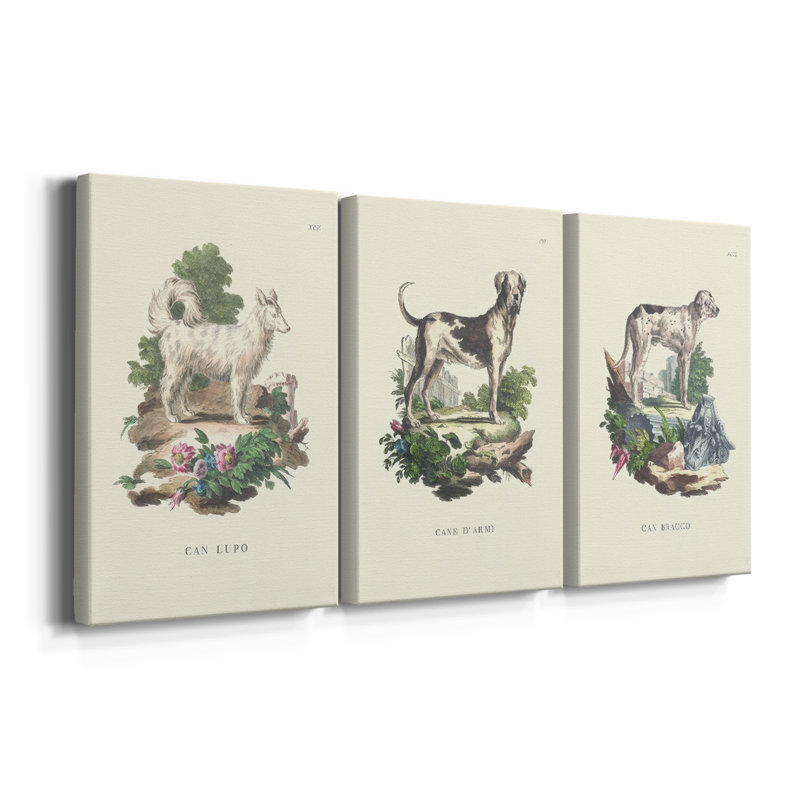French Dogs VII - toile tendue avec châssis sur mesure - 3 pièces, H 12 po x l 24 po